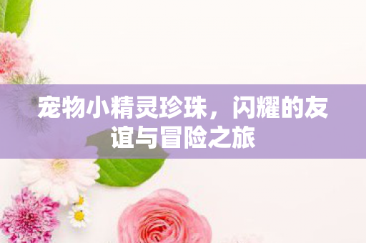 闪耀的友谊与冒险之旅图片