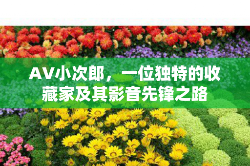 一位独特的收藏家及其影音先锋之路图片