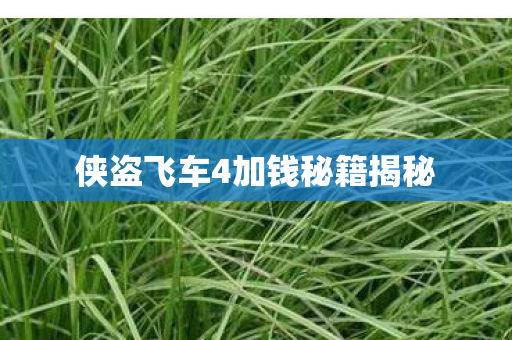 侠盗飞车4加钱秘籍揭秘图片
