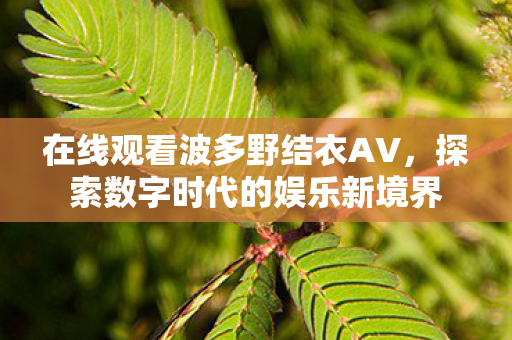 探索数字时代的娱乐新境界图片