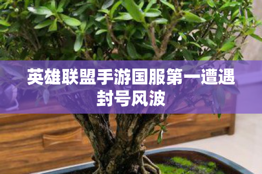 英雄联盟手游国服第一遭遇封号风波图片