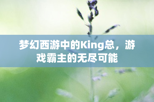 梦幻西游中的King总图片