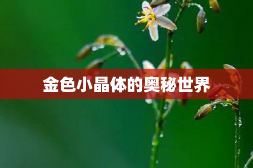 金色小晶体的奥秘世界图片