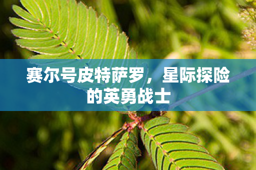 星际探险的英勇战士图片