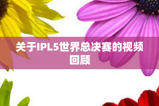 关于IPL5世界总决赛的视频回顾图片