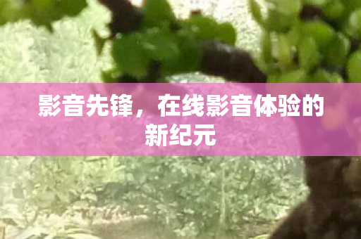 在线影音体验的新纪元图片