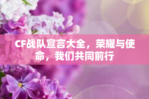 CF战队宣言大全图片