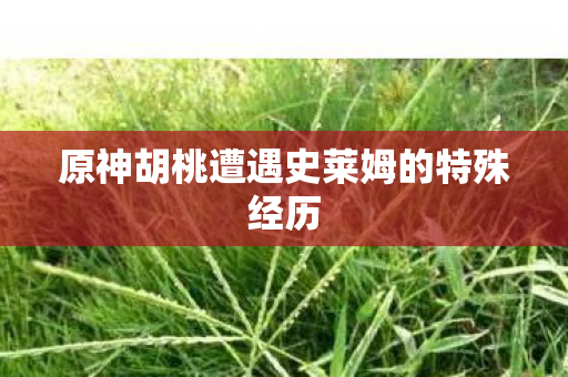 原神胡桃遭遇史莱姆的特殊经历图片