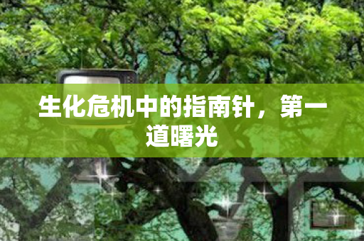 生化危机中的指南针图片