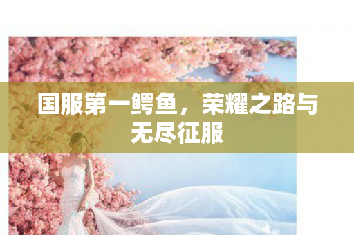 荣耀之路与无尽征服图片
