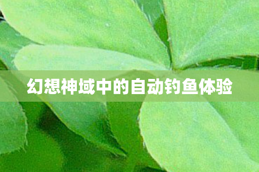 幻想神域中的自动钓鱼体验图片