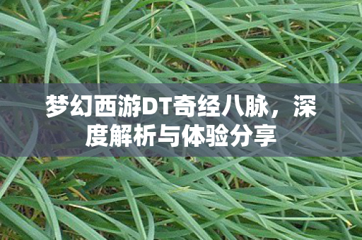 梦幻西游DT奇经八脉图片