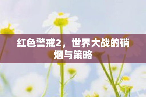 世界大战的硝烟与策略图片