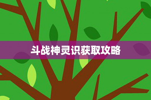 斗战神灵识获取攻略图片