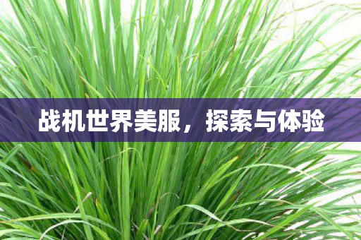 战机世界美服图片