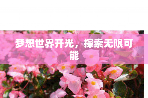 梦想世界开光图片