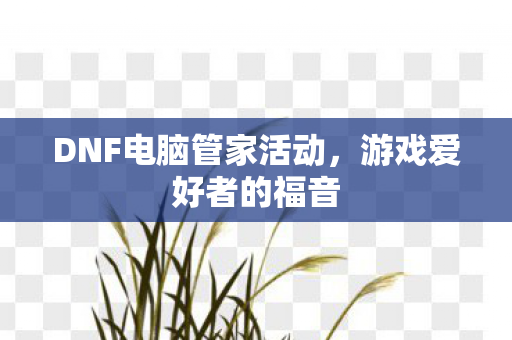 DNF电脑管家活动图片