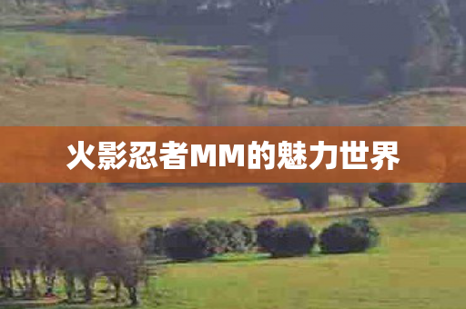 火影忍者MM的魅力世界 火影忍者MM的魅力世界