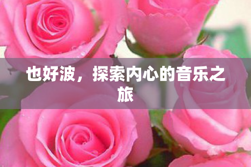 也好波，探索内心的音乐之旅