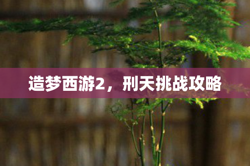 造梦西游2,刑天挑战攻略 造梦西游2,刑天挑战攻略
