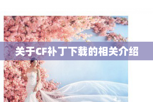 关于CF补丁下载的相关介绍图片