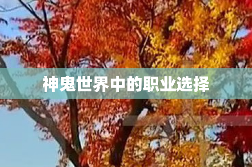 神鬼世界中的职业选择图片