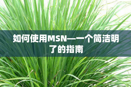 一个简洁明了的指南图片