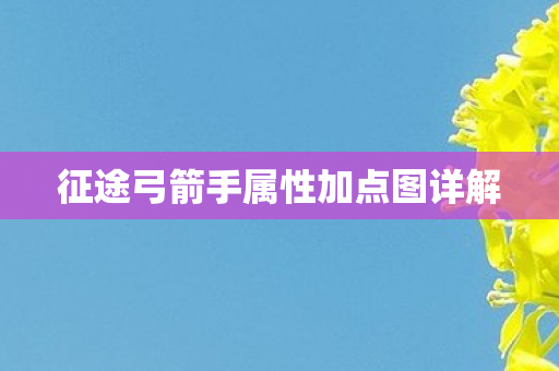 征途弓箭手属性加点图详解图片