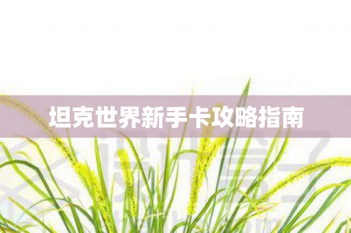 坦克世界新手卡攻略指南图片