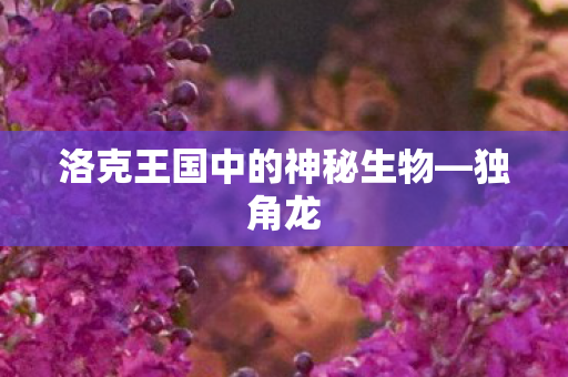 洛克王国中的神秘生物图片