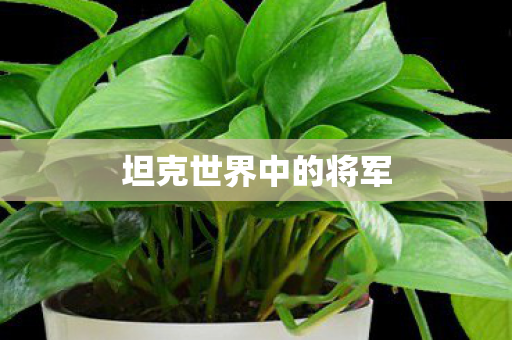 坦克世界中的将军 坦克世界中的将军