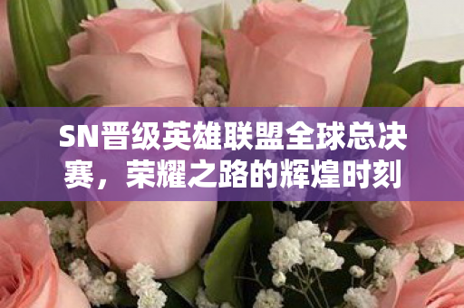 SN晋级英雄联盟全球总决赛图片