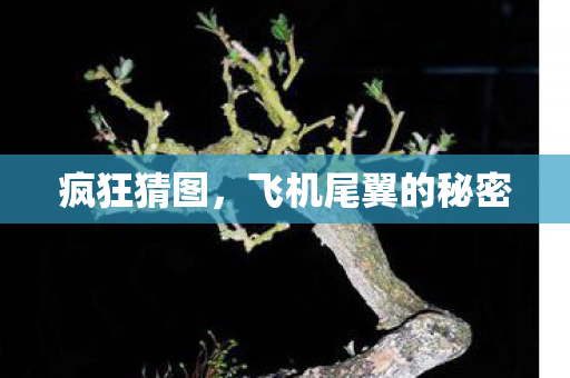 疯狂猜图，飞机尾翼的秘密