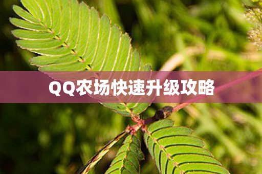 QQ农场快速升级攻略图片