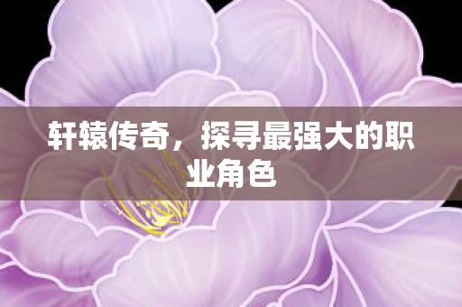 探寻最强大的职业角色图片