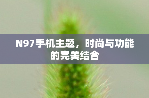 时尚与功能的完美结合图片