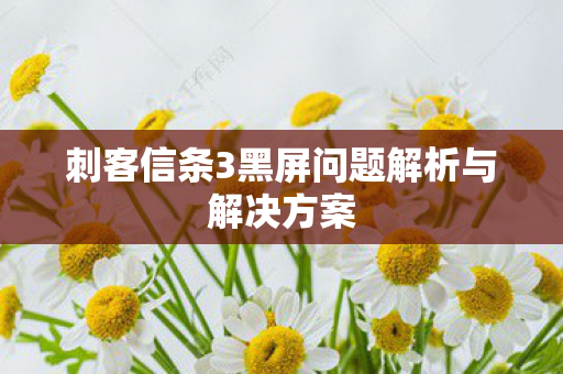 刺客信条3黑屏问题解析与解决方案 刺客信条3黑屏问题解析与解决方案