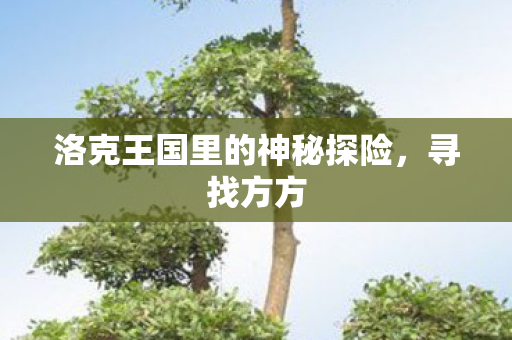 洛克王国里的神秘探险图片