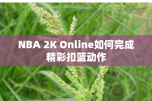 NBA 2K Online如何完成精彩扣篮动作