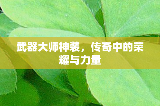 武器大师神装,传奇中的荣耀与力量 武器大师神装,传奇中的荣耀与力量