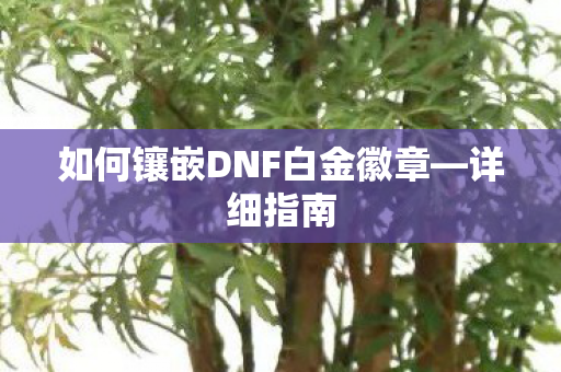 如何镶嵌DNF白金徽章—详细指南 如何镶嵌DNF白金徽章—详细指南
