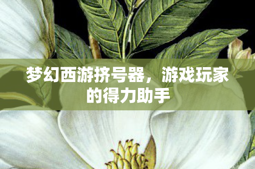 梦幻西游挤号器，游戏玩家的得力助手