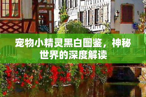 宠物小精灵黑白图鉴图片