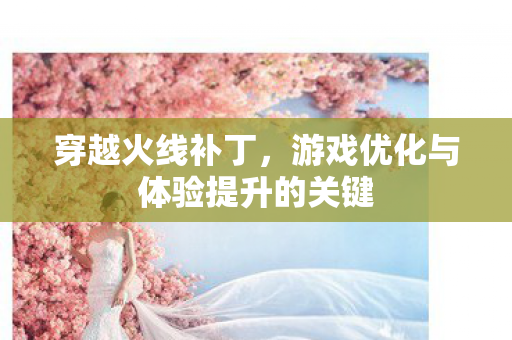 游戏优化与体验提升的关键图片