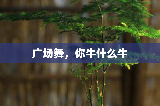 你牛什么牛图片
