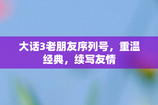大话3老朋友序列号图片
