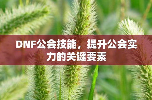 提升公会实力的关键要素图片
