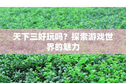 天下三好玩吗?探索游戏世界的魅力 天下三好玩吗?探索游戏世界的魅力