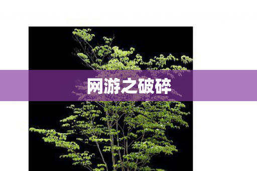 网游之破碎 网游之破碎
