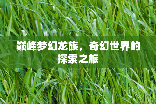 巅峰梦幻龙族,奇幻世界的探索之旅 巅峰梦幻龙族,奇幻世界的探索之旅